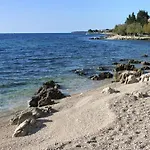 - Diklo 5794a *